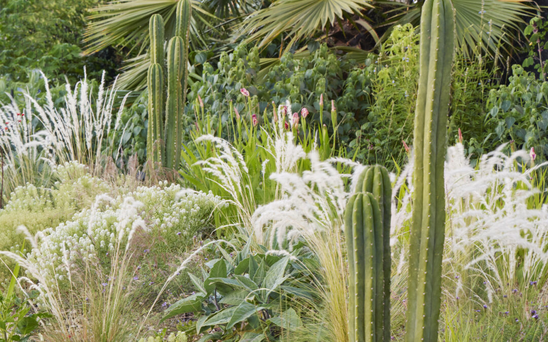 MOLAA Demonstration Garden