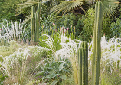 MOLAA Demonstration Garden