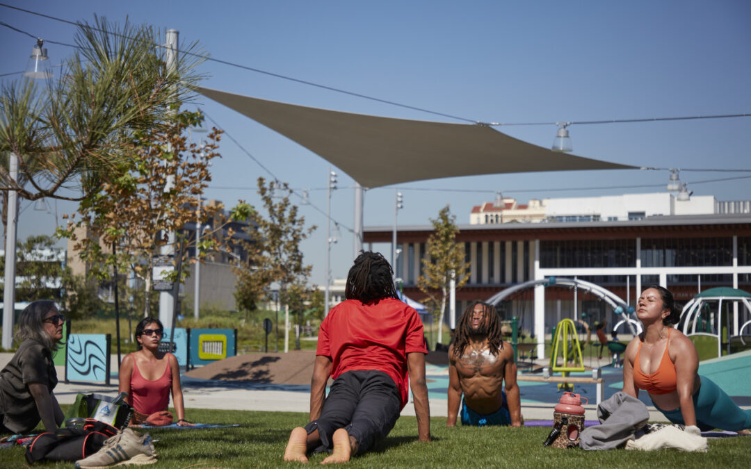 Lincoln Park Activation