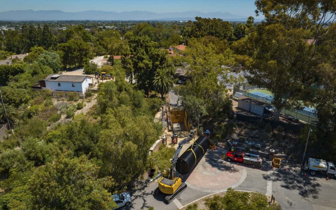 Rancho Los Cerritos: Looking Back to Advance Forward