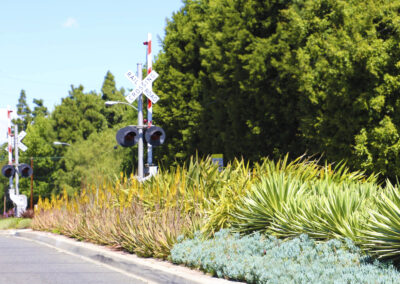 Downey Avenue Median Pilot Program